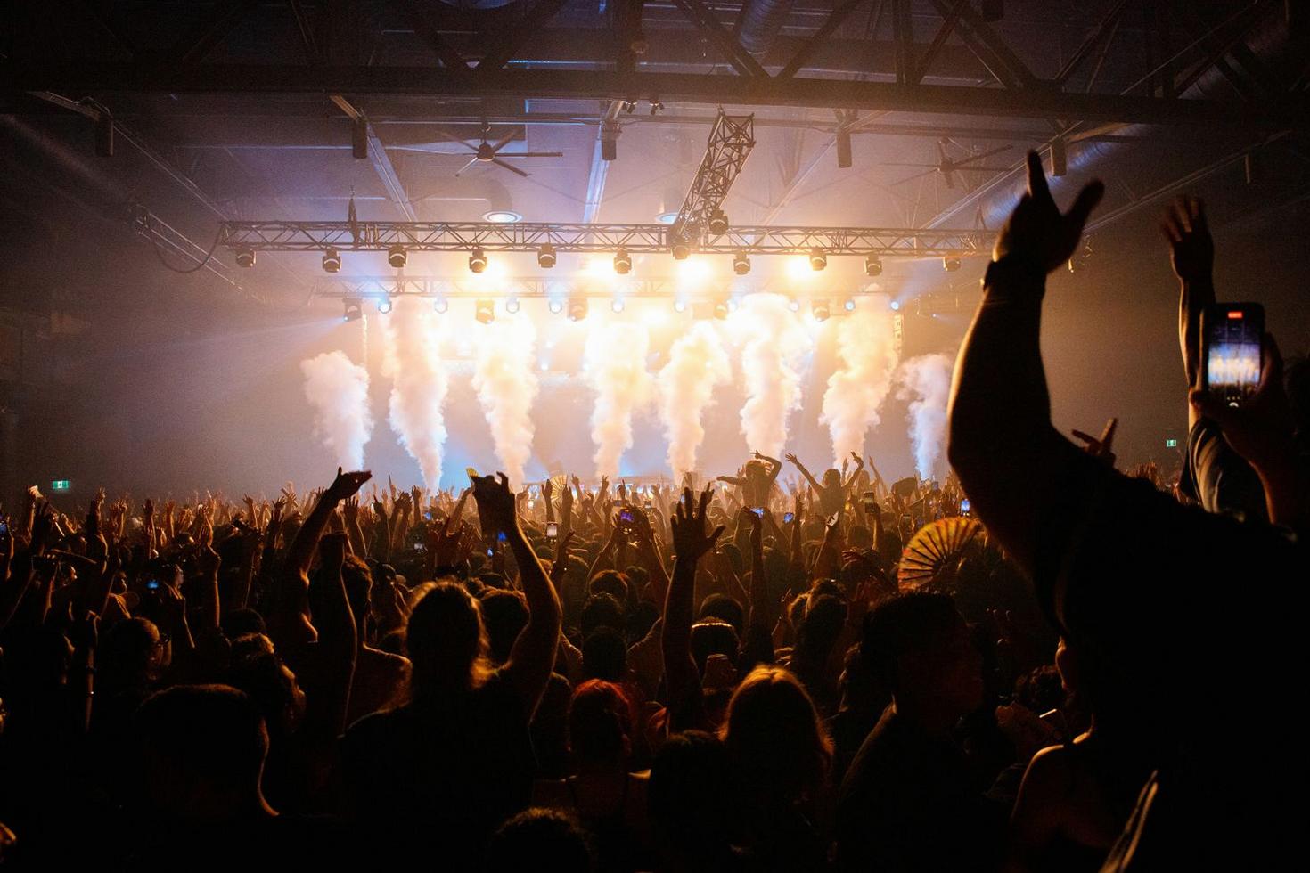 Concert Crowd